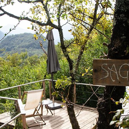 Hotel Hoopoe Glamping Virpazar Exterior foto